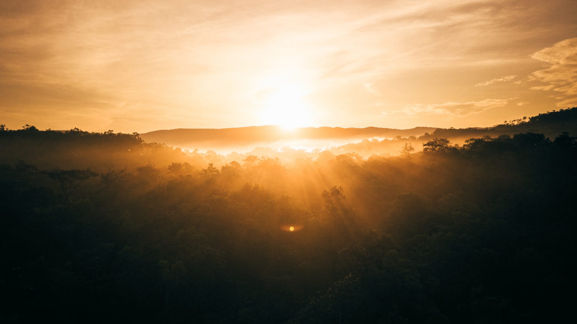 An aerial image of a sunrise over tropical rainforest in Cambodia.