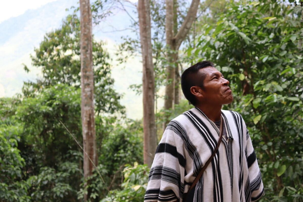 Man stood smiling in the Amazonian forest. He is wearing a kushma traditional dress.